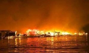 FB_IMG_1551240602430