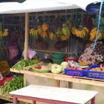 t4 jualan janaria