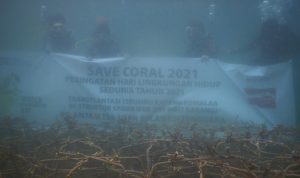 save-coral-2021
