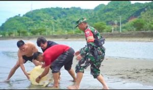 IMG-20221013-WA0022