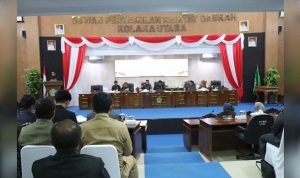 rapat-pad-kolut