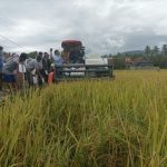 alsintan-kolut-bantuan